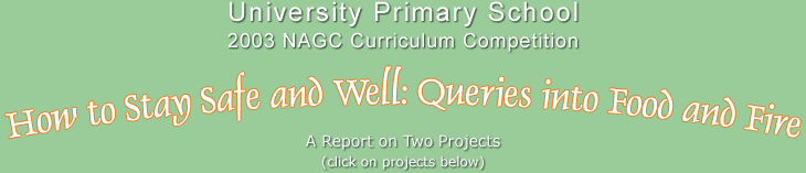 [How to Stay Safe and Well: Queries into Food and Fire